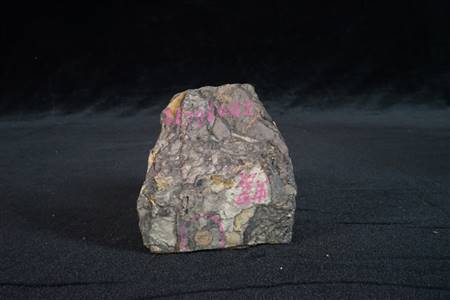 三水盆地螺化石标本（南庄、紫洞）